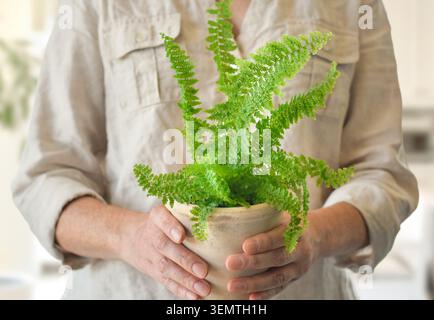 Midsection view of a woman holding a potted fern houseplant with healthy green foliage, highlighting indoor gardening, plant care, and home decor Stock Photo
