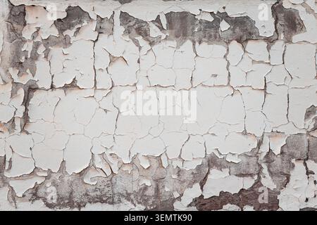Peeling white paint creating a distressed cracked texture on an old rough background, showing decay and grunge Stock Photo