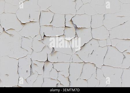 Peeling white paint creating a distressed cracked texture on an old rough background, showing decay and grunge Stock Photo