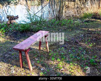 little wooden bench near forest lake on sunny spring day Stock Photo