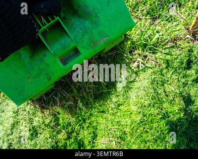 freshly mown grass spills from container into compost heap in village garden on sunny spring day Stock Photo