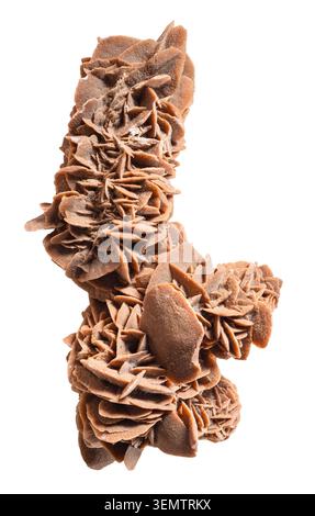 dark brown desert rose calcite cutout on white background Stock Photo