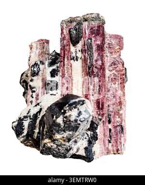 cluster of rough pink and black tourmaline crystals cutout on white background Stock Photo