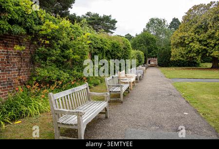 A tranquil park path lined with wooden benches, a brick wall covered in climbing ivy, and lush green trees Nonsuch park Cheam Stock Photo