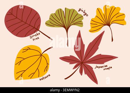 Collection of Japanese leaves with hand-drawn doodle lines, autumn clip art of tree leaves and branches Stock Vector