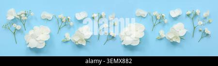 White hydrangea and baby's breath flowers arranged on a light blue background for floral design and spring concepts, this floral composition creates a Stock Photo