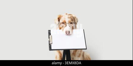 Intelligent australian shepherd dog wearing eyeglasses holding blank clipboard with white paper for message or advertisement Stock Photo