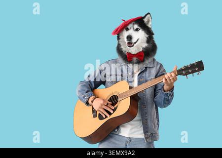 Siberian husky dog head with red beret and bow tie playing acoustic guitar on blue background, the creative and humorous image features the dog with a Stock Photo
