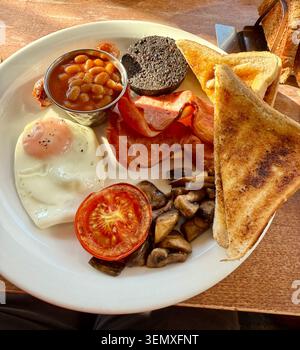 A full Scottish breakfast with black pudding, beans, eggs and toast on a white plate. Stock Photo