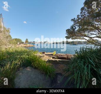 Sydney Harbour seen through native vegetation and sandstone rocks. Stock Photo