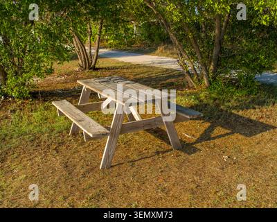 A weathered wooden picnic table with attached benches stands on grass beneath shady trees in a public outdoor park. Stock Photo