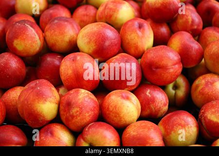 Nectarines in a market display during summer season Stock Photo