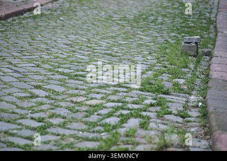 Cobblestone street with grass growing in the cracks Stock Photo