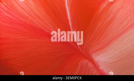 Sparkling stains blend color paint water blob ink Stock Photo