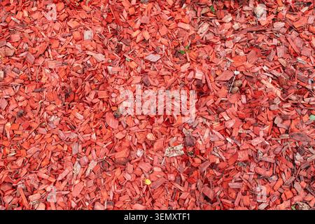 Red colored wood bark mulch texture background covering the ground in a garden or park Stock Photo