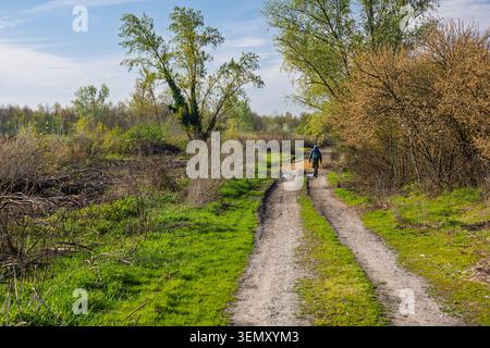 A lone backpacker walks a muddy dirt road through green spring countryside, surrounded by trees, bushes and open fields, evoking solitude, adventure a Stock Photo