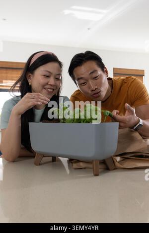 Asian couple leaning over modern rectangular planter on kitchen countertop, inspecting basil plants Stock Photo