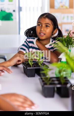 School-age Asian girl sitting at table in class tending black seedling trays wearing striped shirt Stock Photo