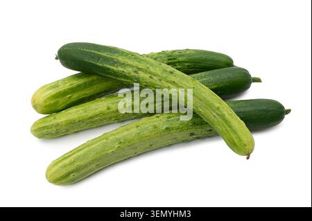 Fresh green cucumbers isolated on white background. Stock Photo