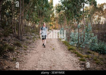 Man with backpack hiking on an outdoor dirt trail surrounded by eucalyptus trees Stock Photo