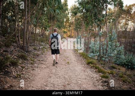 Man with backpack walking dirt path through eucalyptus forest Stock Photo