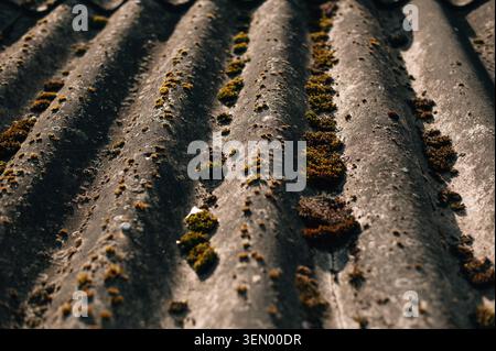 Old Weathered Gray Corrugated Fiber Cement Roof Ridge Under Dramatic ...