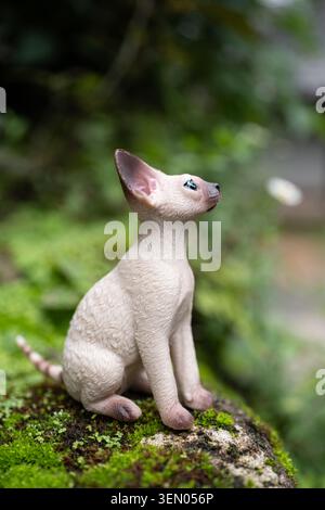 Chiang Mai, Thailand - June 8, 2026 : Sphynx cat figurine looking upward on mossy rock in tropical garden, detailed hairless cat model Stock Photo