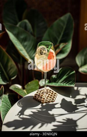 Refreshing citrus cocktail with grapefruit and mint Stock Photo