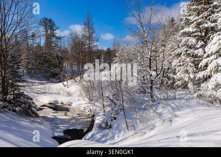 Snow-covered trees and a frozen stream under a clear blue sky in a winter landscape. Stock Photo