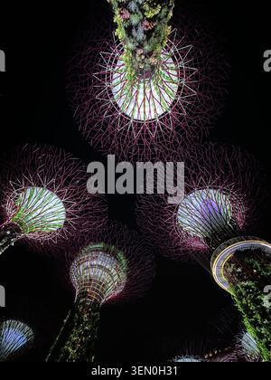 Glow up: the illuminated Supertrees of Gardens by the Bay light up the night, Singapore Stock Photo