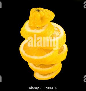 Whole lemon with stacked slices showing juicy flesh, isolated on black background with visible juice droplets. Stock Photo