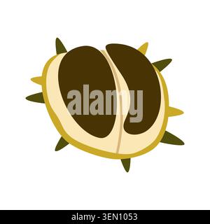 Autumn Chestnut Vector Illustration Flat Geometric Open Forest Seed Isolated Stock Vector