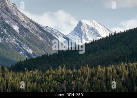 Majestic snow-capped mountains rise above dense evergreen forests under a cloudy sky. Stock Photo
