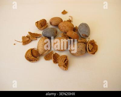 Whole and cracked sweet almonds with and without shells on a wooden background Stock Photo