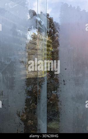 Moisture on a window pane Stock Photo