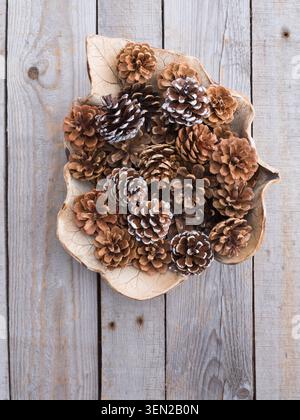 Pine cones in a leaf-shaped bowl Stock Photo