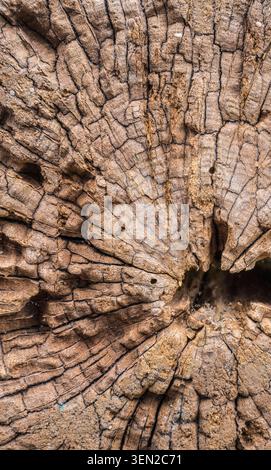Wooden background, close-up, full frame Stock Photo