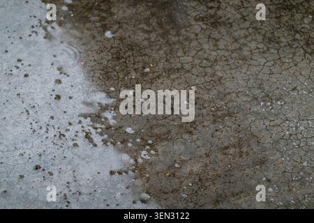 Detailed close-up of weathered concrete pavement featuring intricate crazing patterns and dark wet patches. Stock Photo