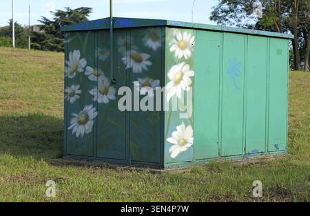 Green metal utility box standing in a grassy area, featuring vibrant daisy flower paintings and a simple blue floral design, transforming urban infras Stock Photo