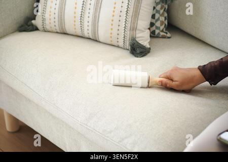 Cleaning lint from a couch with a lint roller Stock Photo