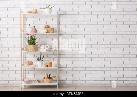 Modern bathroom shelf with organic skincare products and green plants against white brick wall, the shelf stands against a clean white brick wall Stock Photo