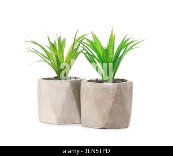 Two artificial green plants in geometric concrete pots, modern home decor and office interior design element, these decorative elements offer a touch Stock Photo