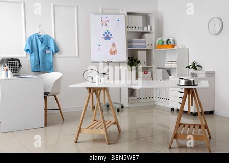 Modern veterinary clinic interior with medical equipment and pet supplies, empty examination room for animal healthcare, the empty examination room fe Stock Photo