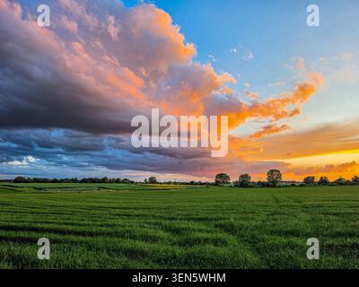 Vibrant rural landscape with lush green fields stretching toward the horizon beneath dramatic clouds lit by the setting sun Stock Photo