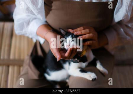 Gentle hand of person wearing brown apron cradles sleeping black and white kitten on lap, showing pure love, trust, peaceful connection between pet ow Stock Photo