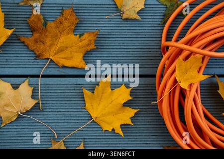 orange coiled extension cord lies on gray ribbed wooden decking next to scattered yellow autumn maple leaves. Outdoor cable insulation, waterproof Stock Photo