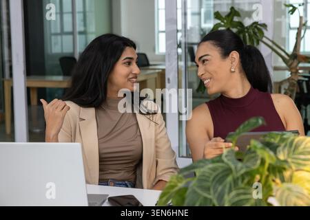 Diverse female coworkers in biz-casual sitting and discussing at office desk with laptop, plant. Collaboration, colleagues, professional, minimalist, Stock Photo