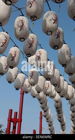 Rows of white paper lanterns painted with red cherry blossom branch patterns, hanging outdoors from bright red frames against a clear blue sky. Stock Photo