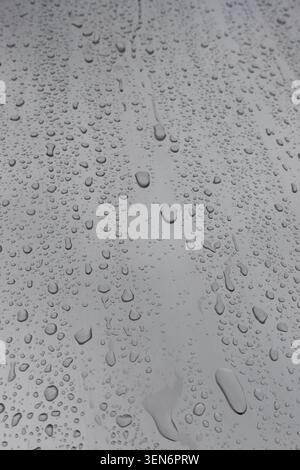 Water droplets on a grey surface, abstract rain texture with soft light, pattern and minimal monochrome detail Stock Photo