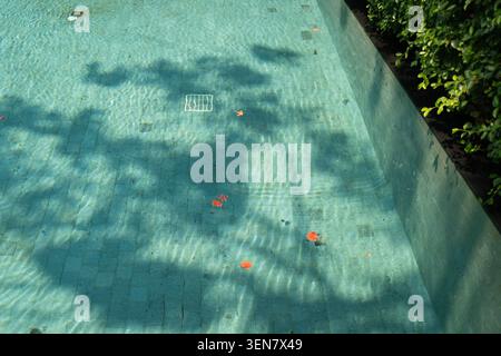 Tree shadows and orange flower petals float across the clear tiled floor of a swimming pool at a luxury hotel near Chiang Mai, Thailand Stock Photo